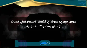 عرض مغري: هيونداي تخفض أسعار أعلى فئات توسان بمصر 75 ألف جنيه!